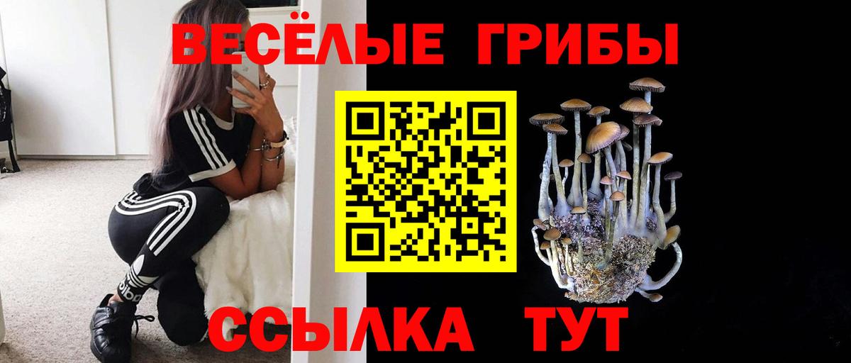 Псилоцибиновые грибы мицелий  Вход с VPN  Дедовск 
